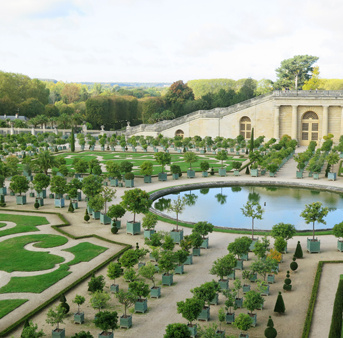 Workshop - Plant Performance under Stress