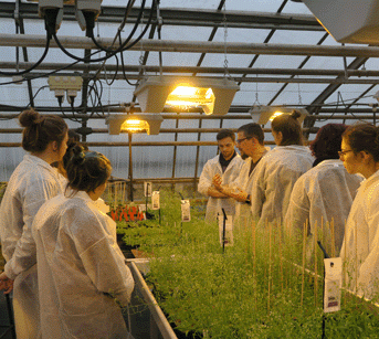 La journée "Fascination of Plants Day" - 2019