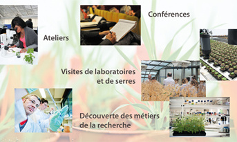 La journée "Fascination of Plants Day" 2017