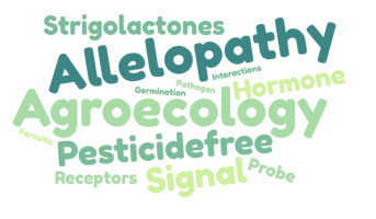 L’équipe SAS de l’IJPB ouvre la voie vers la compréhension des mécanismes allélopathiques