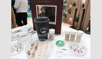 Le projet SUCSEED à la une