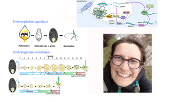 Faits marquants IJPB des Sciences de la Vie de l'Université Paris-Saclay