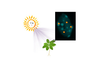 Séminaire Dr. Jean Molinier