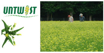 Camelina day - UNTWIST field days