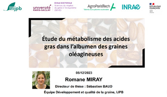 Soutenance de thèse : Romane Miray