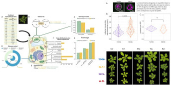 IJPB Highlights from Life Sciences at Paris-Saclay University