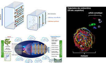 IJPB Highlights from Life Sciences at Paris-Saclay University