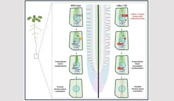 Rith Théa Hak lauréat de la GS Biosphera pour son stage de Master 2
