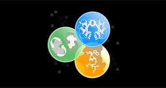 Séminaire Raphaël Guerois