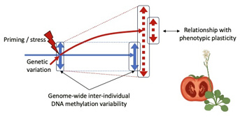 Vincent Coustham chargé de recherche INRAE rejoint l'équipe VarEpi