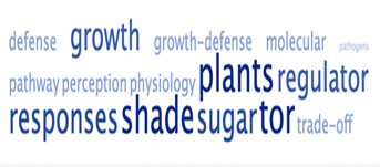 Séminaire IJPB / SPS Sarah Courbier