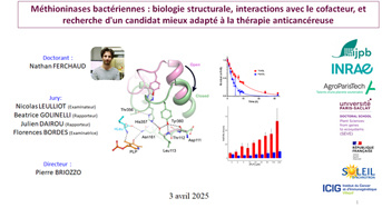 Soutenance de thèse : Nathan Ferchaud