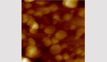 Seminaire IJPB / SPS Pr Bernard Carroll