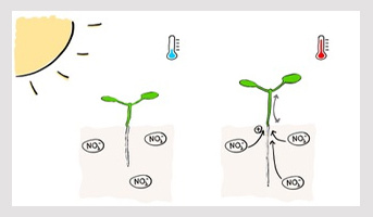 Séminaire Dr Anne-Sophie Fiorucci