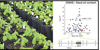 Séminaire Pr François Belzile