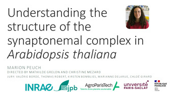 Soutenance de thèse :  Marion Peuch