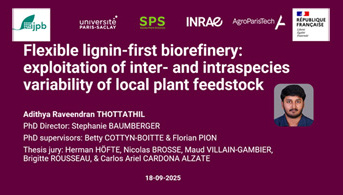 Soutenance de thèse :  Adithya Raveendran Thottathil