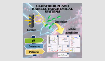 Séminaire Dr  Jimmy A Martínez Ruano