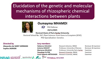 Thesis defense: Oumayma Mhamdi