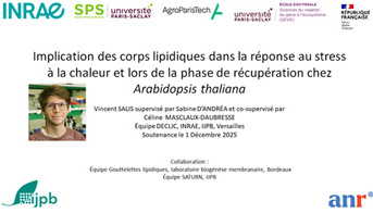 Soutenance de thèse :  Vincent Salis