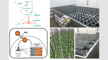 Faits marquants IJPB des Sciences de la Vie de l'Université Paris-Saclay