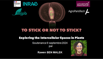 Soutenance de thèse Rawen Ben Malek