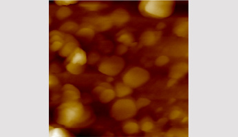 Seminaire IJPB / SPS Pr Bernard Carroll