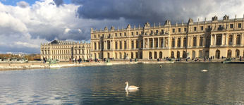 3rd Workshop Carbon Allocation in Plants