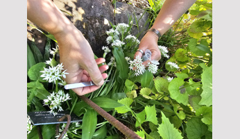 IJPB special guest at king's for the 2025 National Agriculture Days