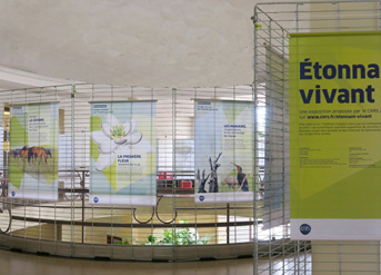 Exposition "Etonnant vivant"
